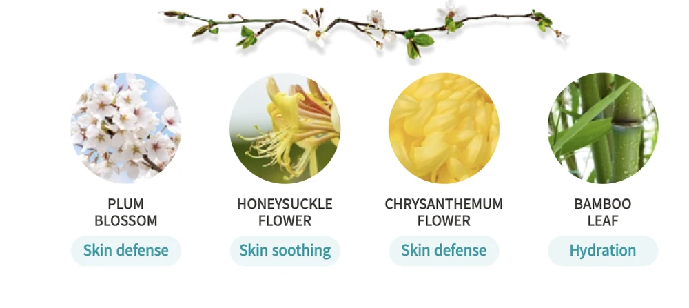 Štyri kvety a listy